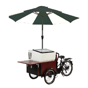 ICE CREAM CART, W2430*D963*H2554 mm ~ Smart8.1